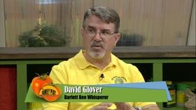 Video thumbnail: The Family Plot Problems for Bees