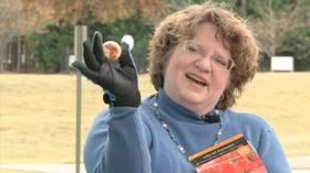 Video thumbnail: The Family Plot Tulips and Pansies
