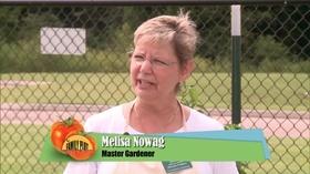Video thumbnail: The Family Plot Drip Irrigation Systems