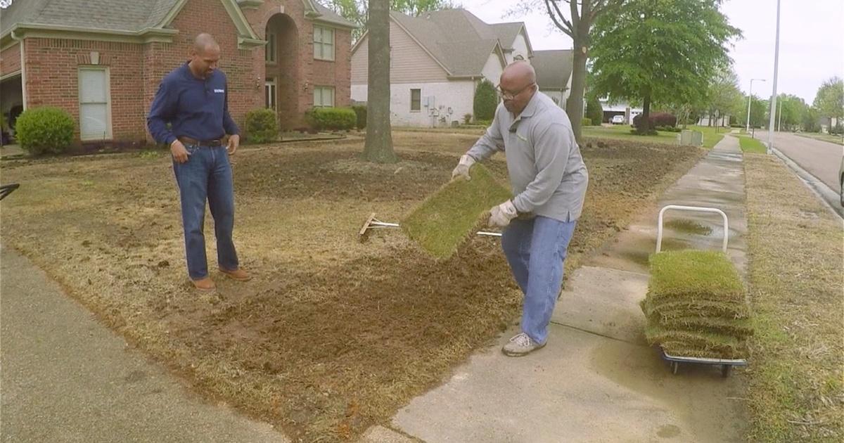 The Family Plot | Fertilizer Basics and Laying Sod | Season 6 | Episode ...