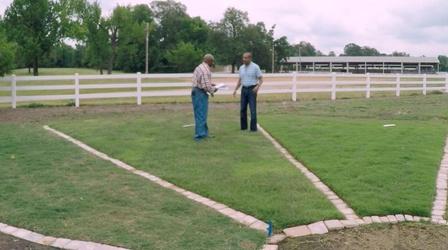 Video thumbnail: The Family Plot Grasses in the Turf Test Plot & Problem Plants
