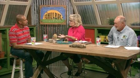 Video thumbnail: The Family Plot Garden Crafts for Kids and Safety in the Garden
