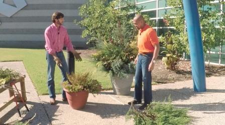 Video thumbnail: The Family Plot Winter Tool Prep & Seasonal Greenery Arrangement