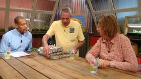 Video thumbnail: The Family Plot Growing Fruit & Vegetables