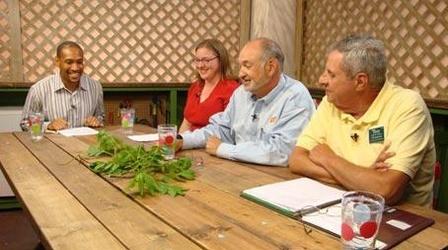 Video thumbnail: The Family Plot Planting warm-season annuals