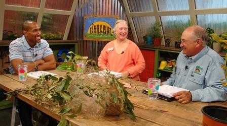 Video thumbnail: The Family Plot Techniques for Plant Propagation