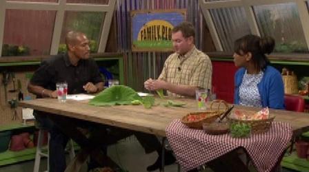 Video thumbnail: The Family Plot Recipes for Home-Grown Tomatoes