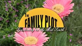 Video thumbnail: The Family Plot How to Collect and Save Seeds