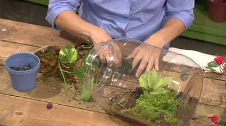 Video thumbnail: The Family Plot Terrariums and the Progress of the Raised Bed Garden