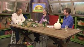 Video thumbnail: The Family Plot African Violets and Purple Martins