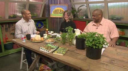 Video thumbnail: The Family Plot Herbs, Edible Weeds and Summer Vegetables
