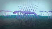 Could You Survive The Cambrian Explosion?