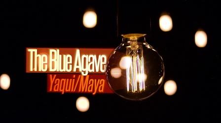 Video thumbnail: Studio 49 The Blue Agave