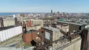 Buffalo Rain Check