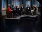 Panel