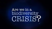 Are We in a Biodiversity Crisis?