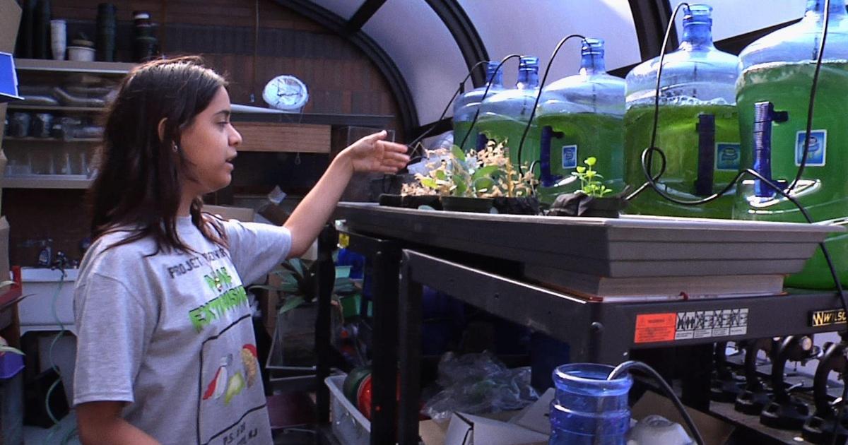 Scitech now | an outside approach to learning