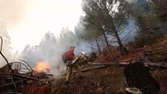 How To Stop a Wildfire