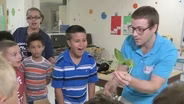 Plants in the classroom