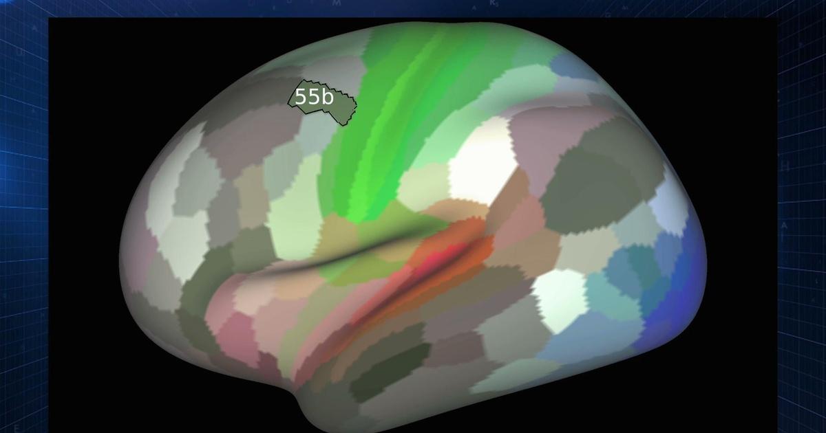 for the first time, scientists map brain activity... SciTech Now | Mapping the human brain | PBS