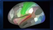 Mapping the human brain