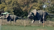Dinosaurs in New Jersey 