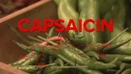 Spiciness explained