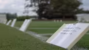 How is turf grass impacting sports?