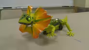 A robotics summer camp