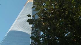 Video thumbnail: Treasures of New York The Trees - Preview