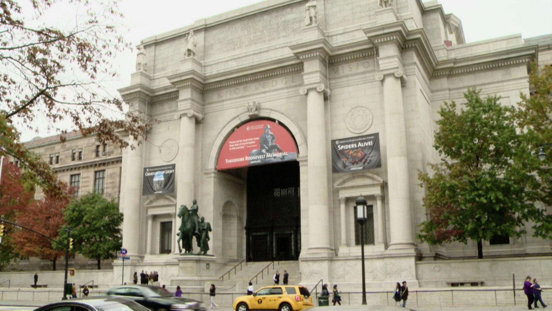 american museum of natural history building