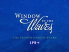 Window in the Waves