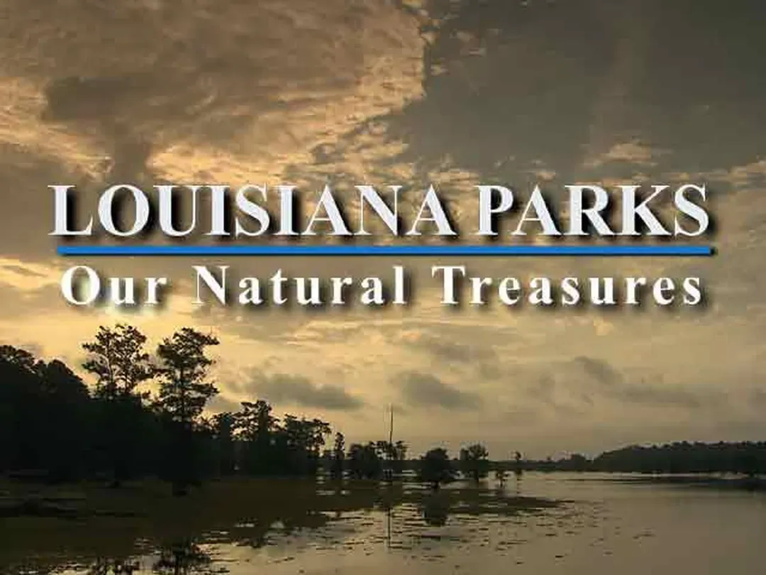 Louisiana Parks: Our Natural Treasures