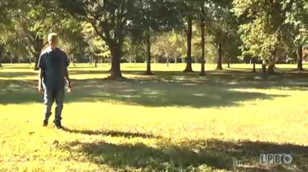 Video thumbnail: Louisiana Public Broadcasting Presents Attakapas Reflections: The Attakapas Prairie