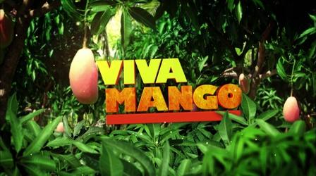 Video thumbnail: WLRN Documentaries Viva Mango