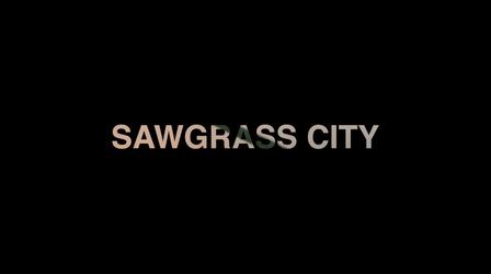 Video thumbnail: WLRN Documentaries Sawgrass City