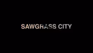 Sawgrass City