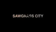 Sawgrass City