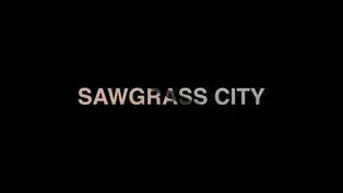 Sawgrass City