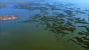 Ten Thousand Islands