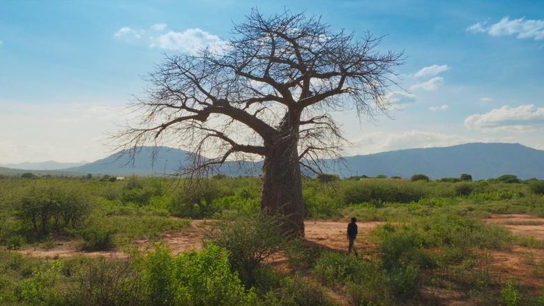 Empire with David Olusoga Image