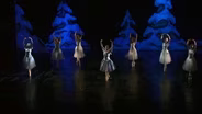 Northeast Ballet Company