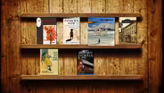 Author/Illustrator Lisa Lamonica on Her Books