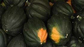 Video thumbnail: From Farm to Table Succulent Squash