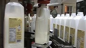 Video thumbnail: From Farm to Table Delicious Dairy Delights