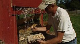 Video thumbnail: From Farm to Table Egg-ceptionally Healthy Comfort Foods