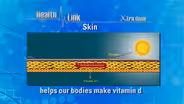 Xtra Dose | Skin Cancer