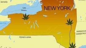 Video thumbnail: New York NOW Innovation Trail | Battle for Medical Marijuana Sites