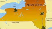 Innovation Trail | Battle for Medical Marijuana Sites