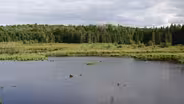 Spotlight on Adirondack Issues